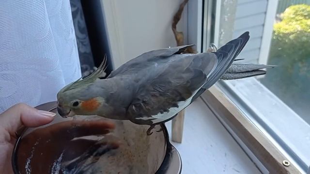 Вкусная каша