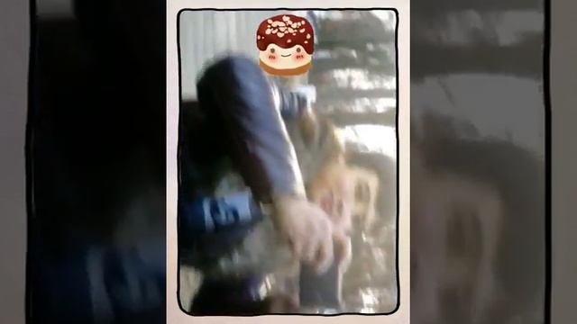 Узбеки Зажигает (Created with @Magisto) смотреть онлайн