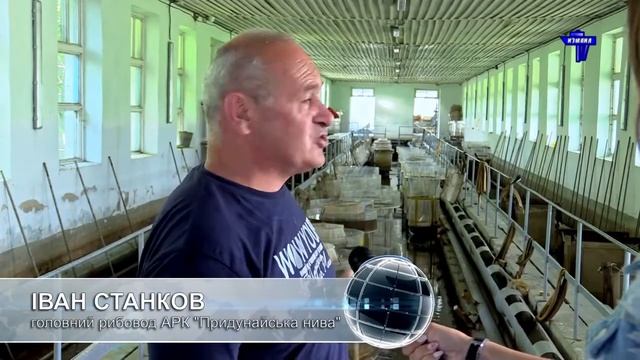 Як та за яких умов вирощують рибу на Одещині смотреть онлайн