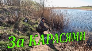 За КАРАСЯМИ на болото. Рыбалка в апреле 2025