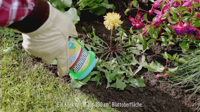 TV ad Roundup® GEL CH GE смотреть онлайн