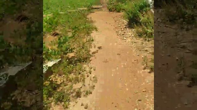 #como esvaziar sua fossa sem abrir смотреть онлайн