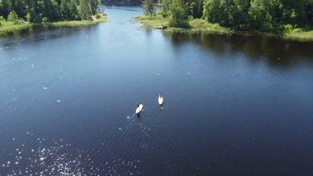 Прогулка на сапах смотреть онлайн