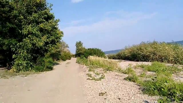 17 августа 2019 г.