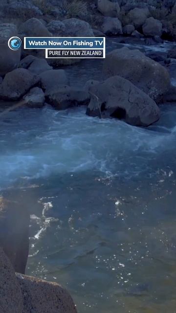 This tiny river is filled with giant trout! - ‘Pure Fly New Zealand’ on Fishing TV смотреть онлайн
