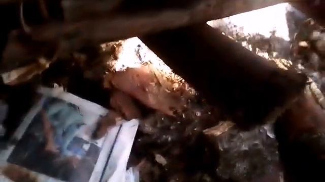 Строительство шалаша в лесу. смотреть онлайн