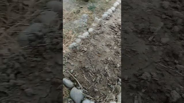 Новые грядки из неплодотворной земли смотреть онлайн