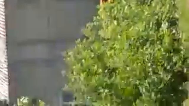 пожар в кулиничах, сгорел жилой дом, 7-й Гв. Армии 14 смотреть онлайн