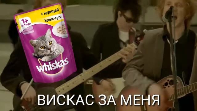 Самая бредовая песня EVER