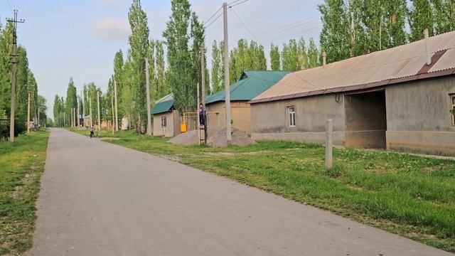 Төлеби ауданы, су көпірді шайып кетті...#төлебиауданы