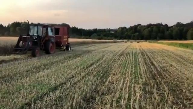 Комбайн Massey Ferguson и пресс-подборщик Newholland 654 смотреть онлайн