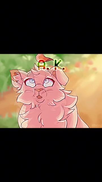 кошаки ваяки))))