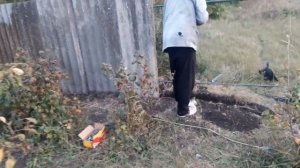 ДЕЛАЕМ ЗАБОР ИЗ ШИФЕРА.