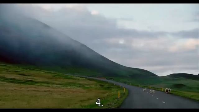 Универсальные свойства косметики  — Статья