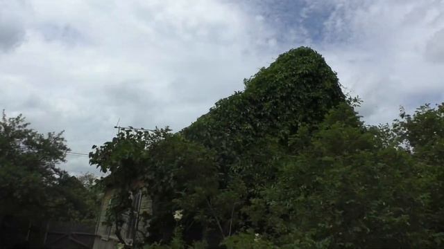 На дачном участке! смотреть онлайн