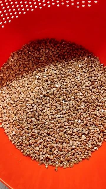 Моя любимая крупа гречка, что я про нее знаю? #gardening