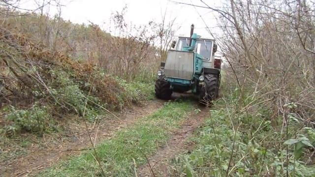как мы ездили в лес за дровами. трактором Т150к. смотреть онлайн