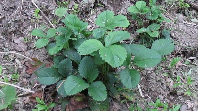 Pleasant with useful! смотреть онлайн