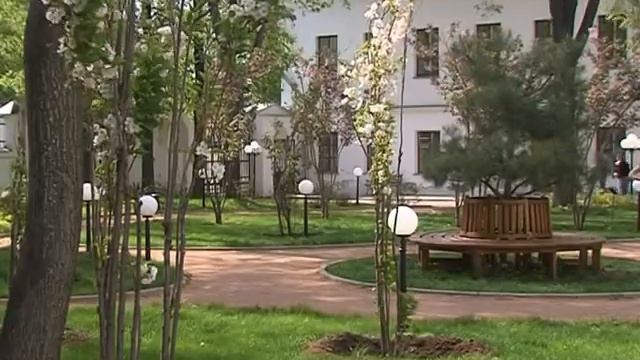 В Ярославле зацвела сакура смотреть онлайн