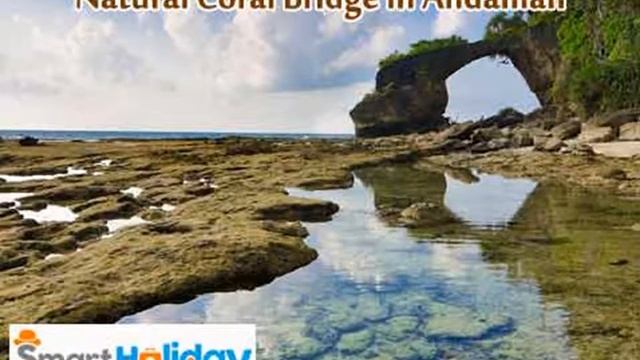 Andaman Tour Packages | Smart Holiday Shop смотреть онлайн
