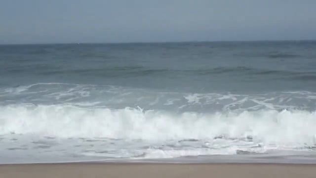 Звуки океана смотреть онлайн