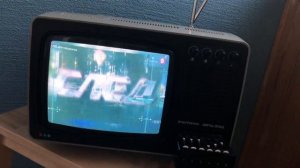 Телевизор «Электроника 25ТЦ-313Д»  TV «Electronics 25TЦ-313Д»