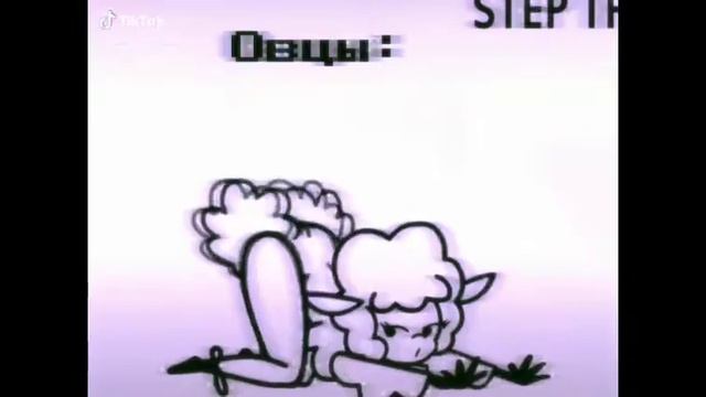 Овца