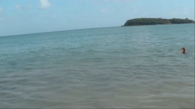 Jaws 10 смотреть онлайн