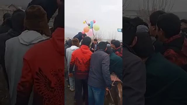 🥀Шаха ба хар бурдан Хансинфои шах 💣💣(1)