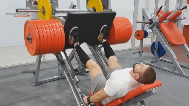 Тренировка ног в исполнении Главного Хомяка смотреть онлайн