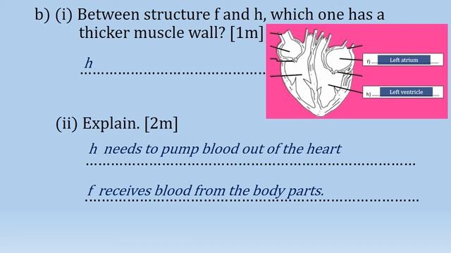 QUICK REVISION : HUMAN HEART FORM 3 KSSM