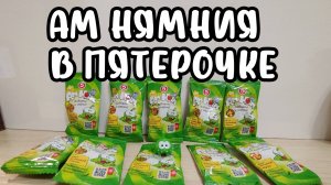 НОВАЯ АКЦИЯ В ПЯТЕРОЧКЕ!!! Амнямы - распаковка #амням
