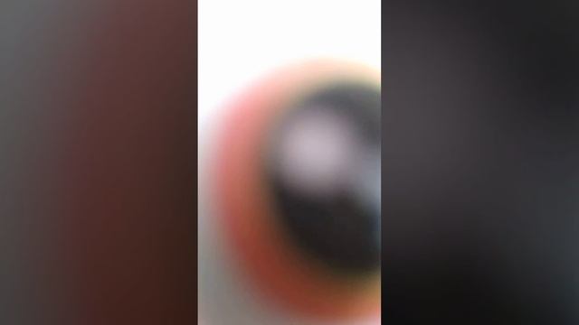 краб смотреть онлайн