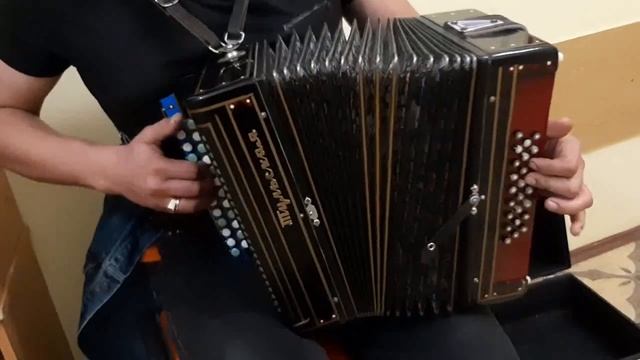 ТАК УМЕЮТ ИГРАТЬ НА ГАРМОНИ НЕМНОГИЕ!!!( Я НЕ ПРО СЕБЯ))) смотреть онлайн