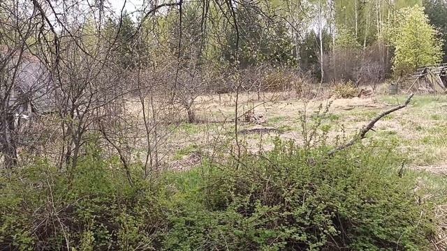 осваиваю целину