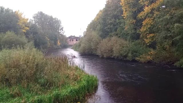 Протока...дождь...