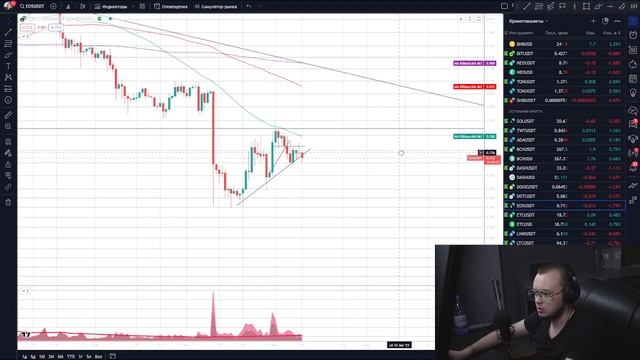 КРИПТА ПОЛЕТИТ НА ДНО. Конец бычьего тренда / Обзор рынка криптовалют. Биткоин прогноз курса смотреть онлайн