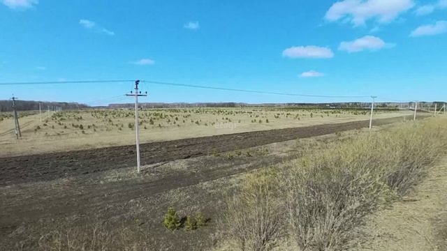 6817832, Кулина 2 смотреть онлайн
