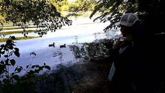 Птичий остров Минск смотреть онлайн