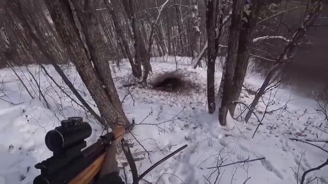 Адреналин на пределе. Охота на медведя 2024 смотреть онлайн