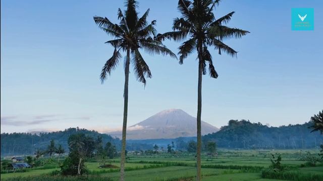 Unveiling the Hidden Gems of Bali: A Must-See Travel Guide смотреть онлайн
