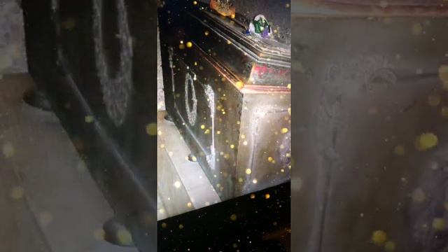 ЕВФ. 2. Приятная прогулка по зимней Вене. 02 01 2021. Музыкально-поэтический разговор. #БеседкаЕВФ