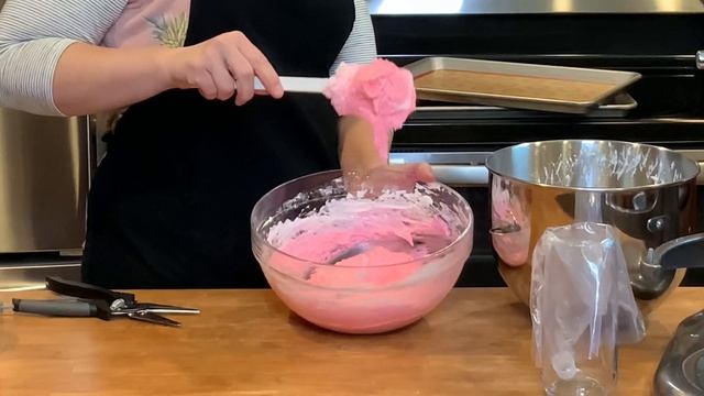 Nut Free Macarons - Coconut Flour - Adventures In Everyday Cooking