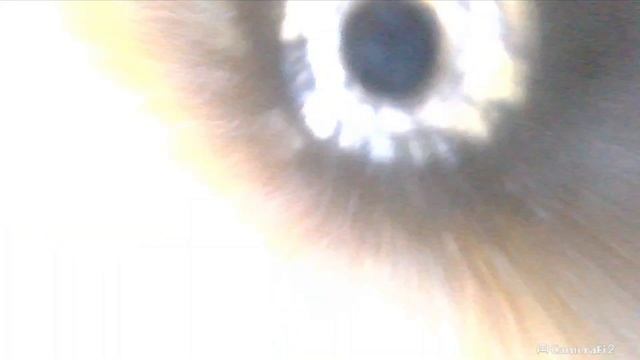 ✅️️ BMW 3 2.0 2011 190800км: эндоскопия ЦПГ смотреть онлайн