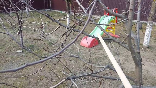 Ce trebuie sa stii , daca vrei sa tai corect pomii! смотреть онлайн