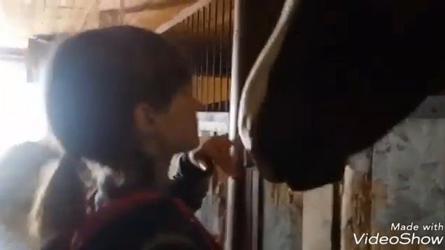 Мы на конюшне ❤ смотреть онлайн