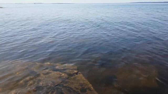 Flowing Water - Free Stock Creative Commons Video