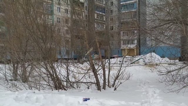 Караганда Майкудук 03.02.2020 Проблема мусорок в Майкудуке.Голодед... смотреть онлайн