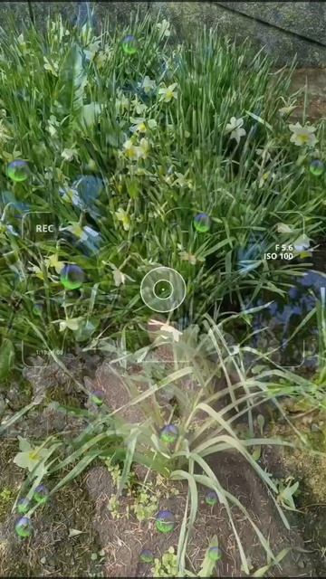 Весенний день в Ставрополье, 19 апреля 2025 г.💖