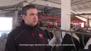 Роботы Lely Astronaut A4 и Lely Juno. ООО «Межадорское», республика Коми